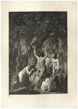 Visualizza l'immagine "Vol. Y 121.2, tav. 14"